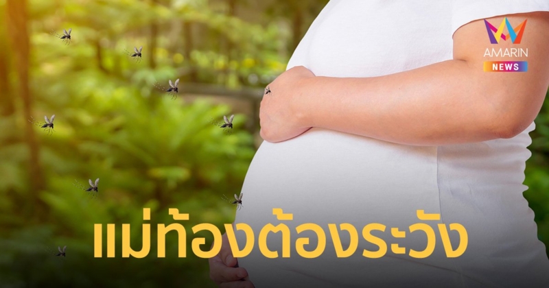 แม่ตั้งครรภ์ ระวังให้ดี! ยุงลายกัด ลูกเสี่ยงพัฒนาการช้า