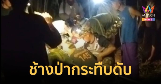 สลด! สมาชิกกลุ่มผลักดันช้างป่า ถูกกระทืบเละ ทนบาดแผลไม่ไหวดับ