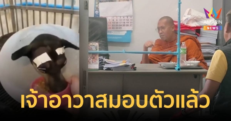 มอบตัวแล้ว เจ้าอาวาสตีหมาจนตาหลุด ด้าน พศ.ระบุยังไม่ผิดถึงขั้นปาราชิก