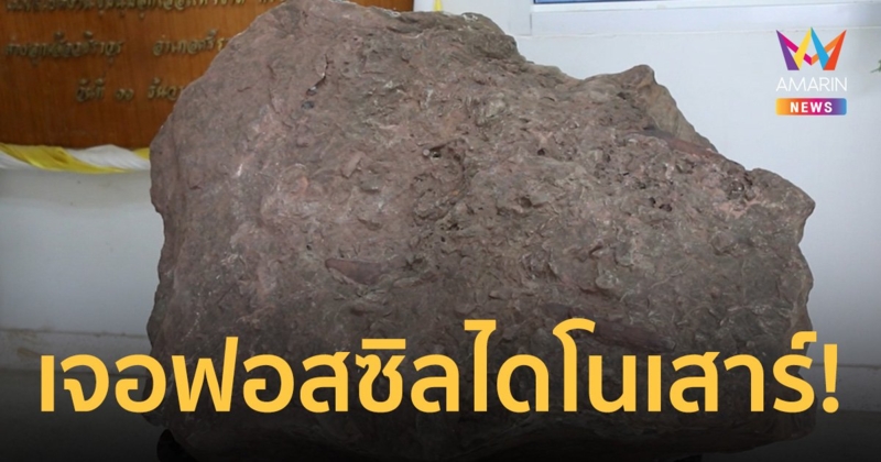 ของจริง! นักธรณีวิทยา ยัน ซากฟอสซิล ไดโนเสาร์ อายุ 100-110 ล้านปี