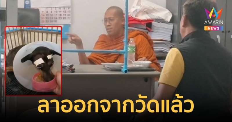 เจ้าอาวาสตีหมาจนตาหลุด ขอลาออกส่วนจะสึกไหมยังไม่ตัดสินใจ