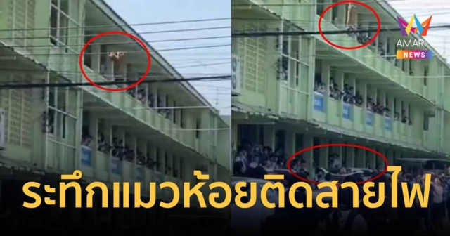 นาทีระทึก !! นักเรียนนับร้อยลุ้นแมวห้อยคาสายไฟฟ้า