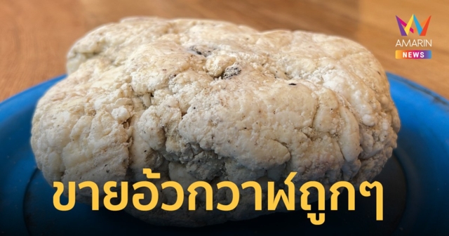พ่อเฒ่า 61 ปี ประกาศขาย อ้วกวาฬถูกๆ แค่ 4 ล้าน พบจากทะเลเกาะกูด