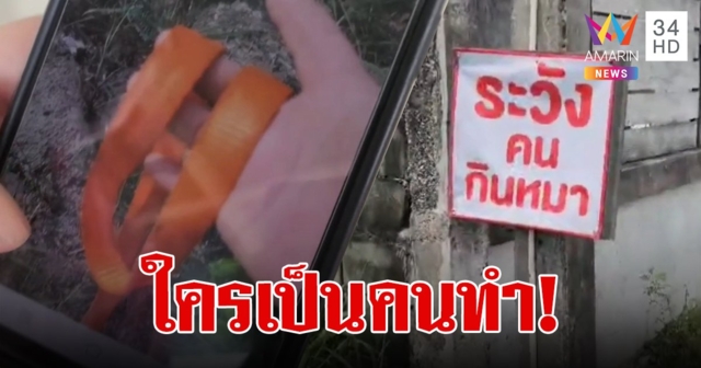 ระวังคนกินหมา! คนระยองเดือดติดป้ายเตือน หลังหมาจร-หมาเลี้ยง หายเกลี้ยง 40 ตัว