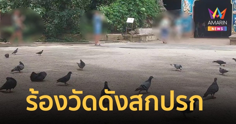 สมาคมไกด์ร้อง วัดดังพังงา แหล่งท่องเที่ยวสกปรก