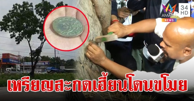 หัวขโมยเจ้ากรรมลักเหรียญครุฑ 