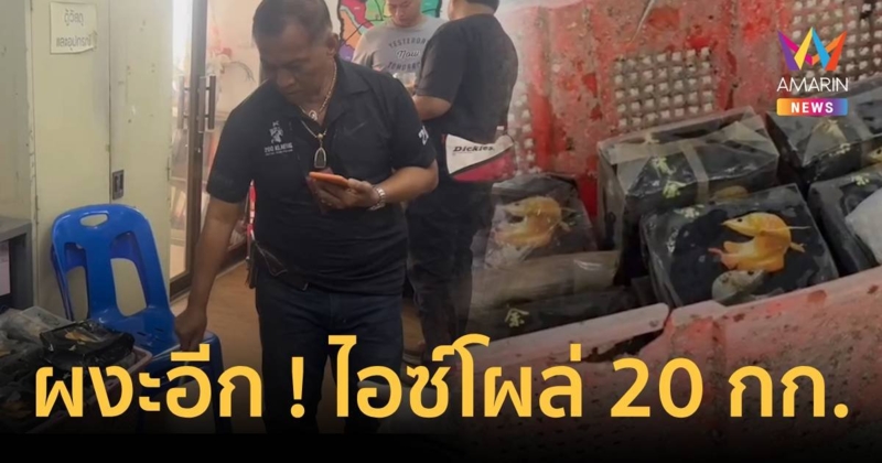 โผล่อีกแล้ว ไอซ์ตราปลาเงินปลาทอง 20 กก.กลางทะเลระยอง