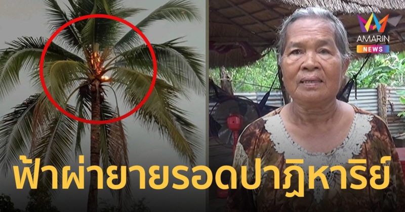 ฝันเป็นลาง ฟ้าผ่ายอดต้นมะพร้าว ยายวัย 71 รอดปาฏิหาริย์