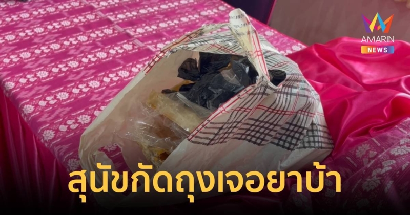 ผงะ! สุนัขคาบห่อปริศนามากัดเล่น กลายเป็นยาบ้าเกือบ 2 หมื่นเม็ด