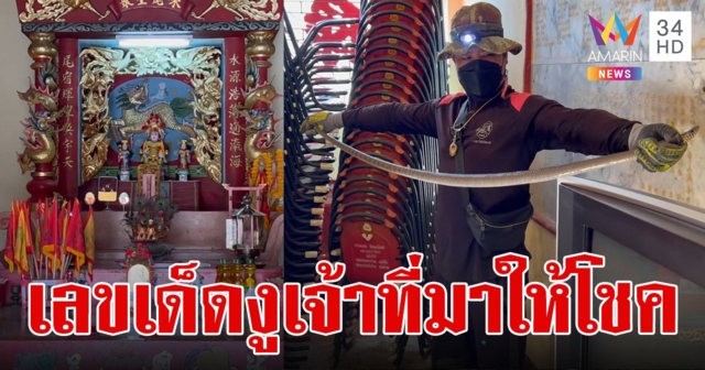 งูนอนขดบนเกี้ยวแห่ เจ้าแม่ทับทิม ส่องเลขเด็ดเชื่อมาให้โชค
