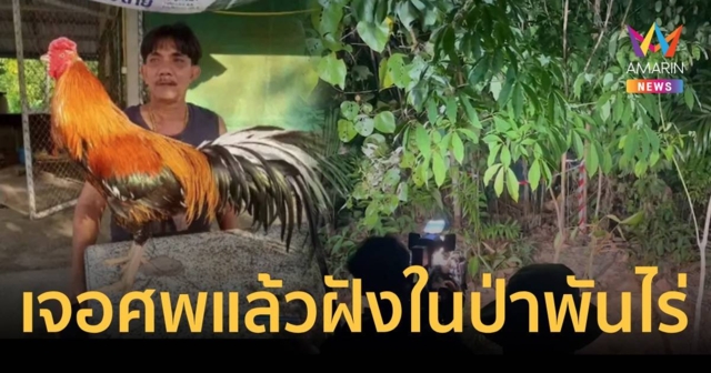 ด่วน! เจอแล้วร่างเสี่ยหมาด เจ้าของสนามชนไก่ ถูกฝังดินในป่ากว่าพันไร่