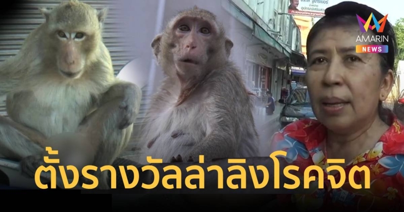 สุดทน ตั้งรางวัลนำจับลิงโรคจิตขโมยชุดชั้นใน ชอบเกาะรถสาวหน้าตาดี