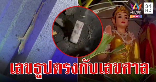 ขนลุก! ขอโชคอยู่ดีๆ จิ้งจก 2 หางโผล่ออกมา เลขธูปชัด 3 ตัว ตรงกับเลขศาลแม่ดอกสร้อย