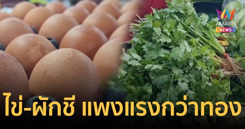 แพงทุกอย่าง! ไข่ไก่-ผักชี ราคาพุ่งแรงกว่าทองทำ   