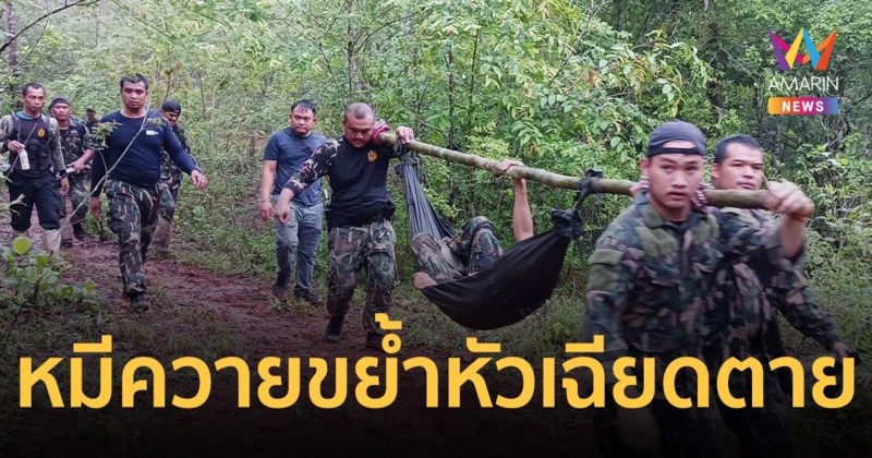 จนท.ป่าไม้ลาดตระเวน ประจันหน้าหมีควาย ตะปบกัดขย้ำหัวเฉียดตาย