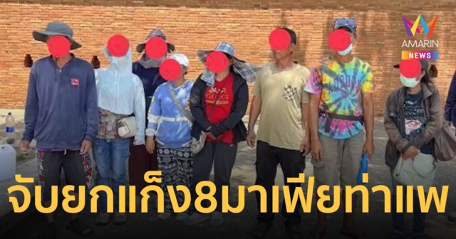 จับยกแก็ง 8 มาเฟียท่าแพก๊วนเดิม รีดไถเงินขายอาหารนกนักท่องเที่ยว