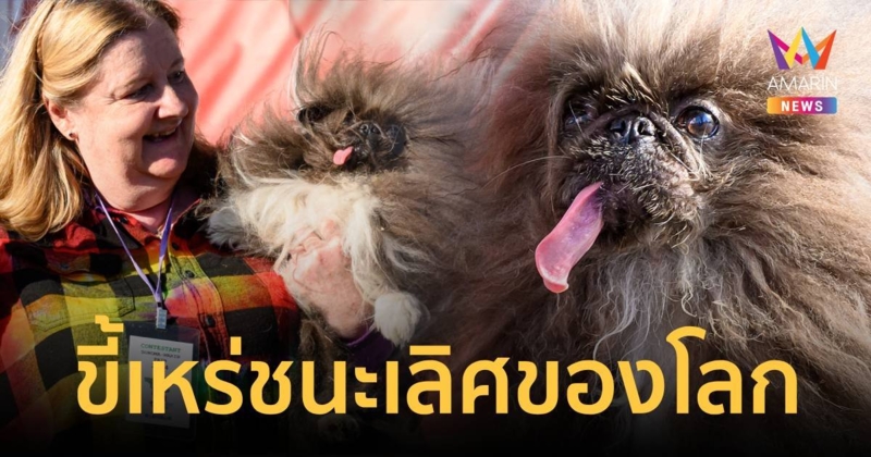 ขี้เหร่สุดชนะเลิศ แข่งประกวดหมาแปลกรับเงินเกือบ 2 แสนกลับบ้าน!