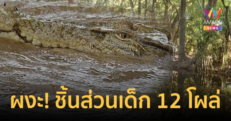 ผงะ! ชิ้นส่วนเด็ก 12 โผล่  ตร.ออสซี่เผยไอ้เข้กินชัวร์ 100%