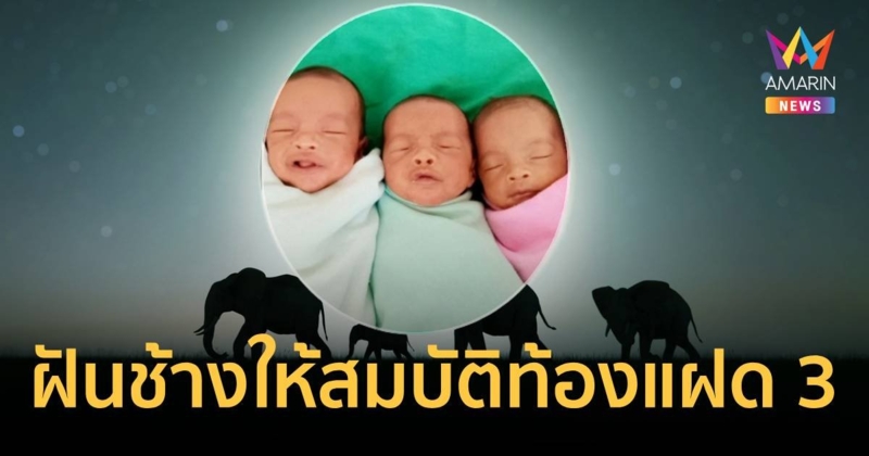 ฝัน “ช้างให้สมบัติ 3 กระบุง” ตกใจตื่น! รู้อีกทีท้องแฝด 3