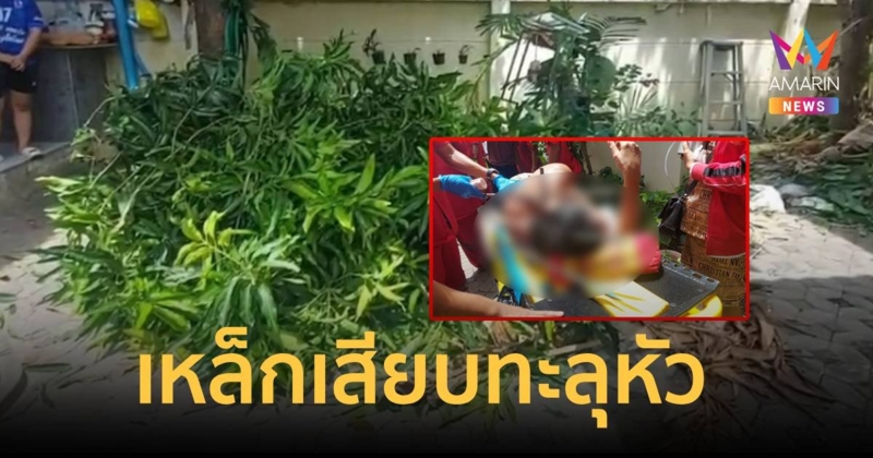 ตาวัย 70 ปี ปีนตัดต้นมะม่วงพลาด เหล็กเสียบหัวทะลุ