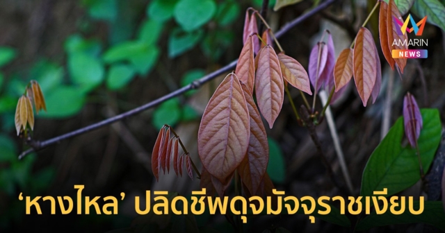 รู้จัก 