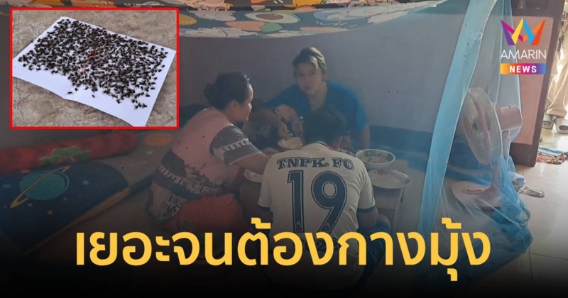 ชาวบ้านสุดทน!แมลงวันจำนวนมากบุกบ้าน จนต้องกางมุ้งกินข้าว