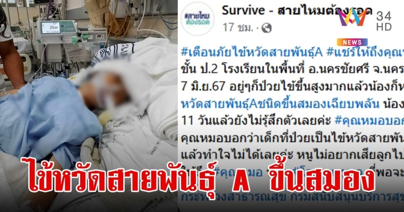 แม่ใจสลาย ลูก ป.2 ป่วย "ไข้หวัดใหญ่สายพันธุ์ A" ชนิดขึ้นสมอง นอนหมดสติ 11 วันแล้ว