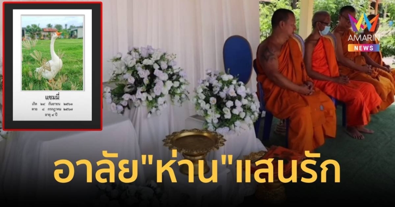 สุดอาลัย! จัดงานศพให้ “ห่าน” แสนรัก ถูกหมารุมกัดตาย