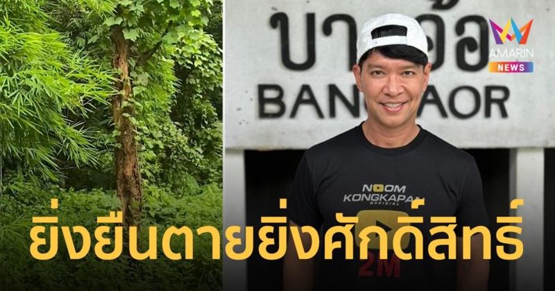 "หนุ่ม คงกระพัน" เผยที่มา ต้นขนุนตายพราย คนโบราณเชื่อยิ่งยืนต้นตาย ยิ่งศักดิ์สิทธิ์