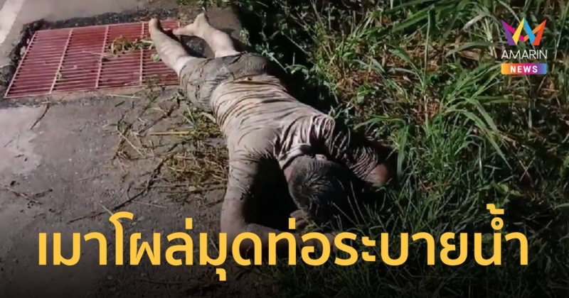 หนุ่มเมาไม่ได้สติ ถูกเพื่อนทิ้ง โผล่มุดออกจากท่อระบายน้ำ