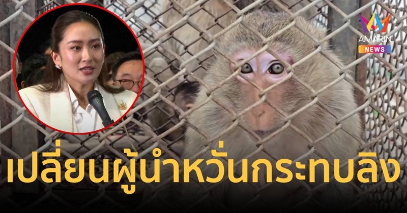 ชาวลพบุรีหวั่นเปลี่ยนผู้นำประเทศ ปัญหาลิงจะสะดุด