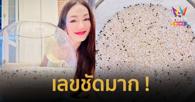 โค้งสุดท้าย ! เลขเด็ด “อ๋อม สกาวใจ” น้องกระดิ่งให้ชัดๆ งวด 01/09/67