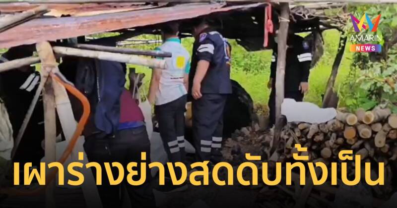 หนุ่มใหญ่ศรีสะเกษ พลาดท่า ตกเตาเผาถ่านถูกย่างสด ดับสลดกลางป่า