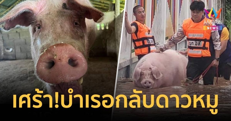 บำเรอ กลับดาวหมูแล้ว หลังรอดจากน้ำท่วมมาได้ 4 ครั้ง