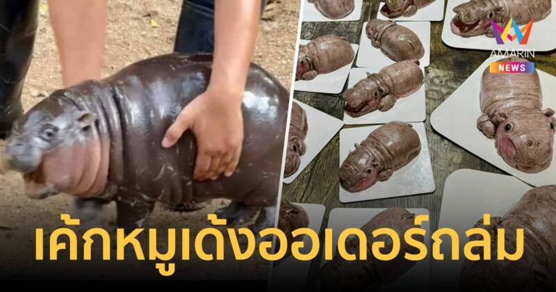 คาเฟ่เจ้าดังเนรมิต "เค้กน้องหมูเด้ง" ออเดอร์รัวถล่มทลาย