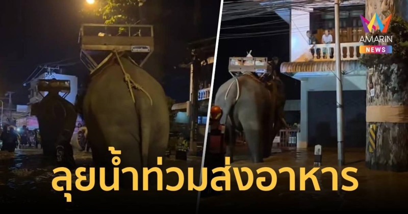 ช้างฝ่าน้ำท่วมส่งเสบียงให้ผู้ประสบภัย หลังน้ำท่วมสูงเรือ-รถเข้าลำบาก