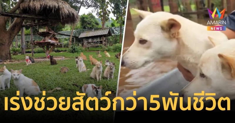 ระทึก ! น้ำป่าหลาก หมา แมว สัตว์ใหญ่กว่า 5 พันชีวิต ลอยคอรอช่วยเหลือ