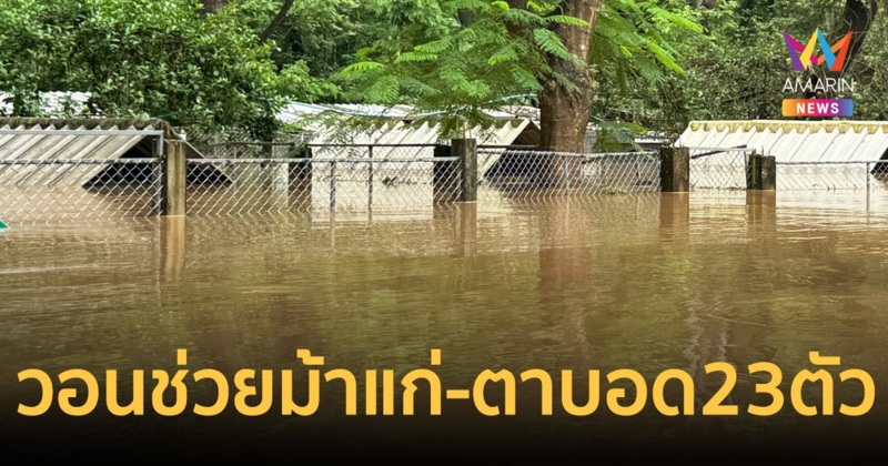 ด่วน! ขอรถช่วยขนม้าแก่-ตาบอด 23 ตัว พร้อมขอรับบริจาคผ้าห่ม-ผ้าเช็ดตัวเก่าให้น้องหมาน้องแมว