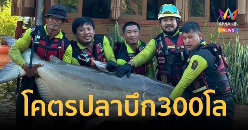 ตามหาเจ้าของ โคตรปลาบึก! หนัก 300 โล 5 คนช่วยกันแบก โผล่หน้าสถานีรถไฟสารภี