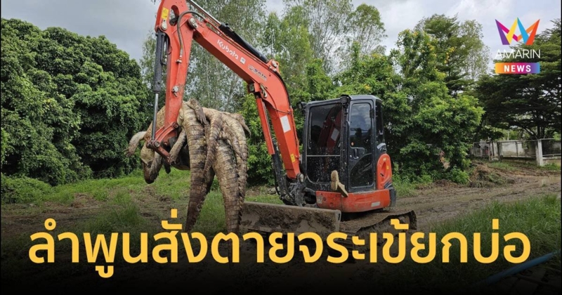 สั่งตายจระเข้ยักษ์ 100 ตัวยกบ่อ หวั่นหลุดช่วงน้ำท่วม