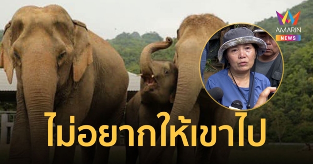 แม่เล็ก แสงเดือน โพสต์ลา 