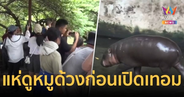 แห่ดู 