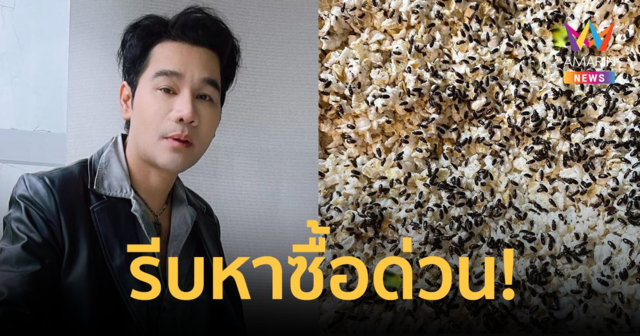 ซื้อด่วน! 
