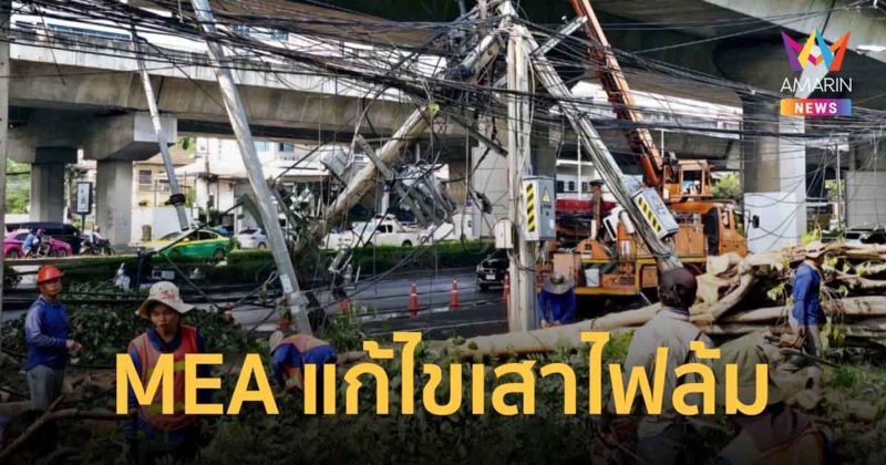 MEA เร่งแก้ไขเหตุต้นไม้รั้งเสาไฟล้ม บริเวณ ซ.พระราม 9