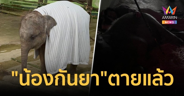 แม่ๆ เศร้า 
