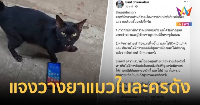 ผู้กำกับละครดังแจงทาสแมว ยืนยันวางยาจริง โพสต์คลิปน้องปกติดี