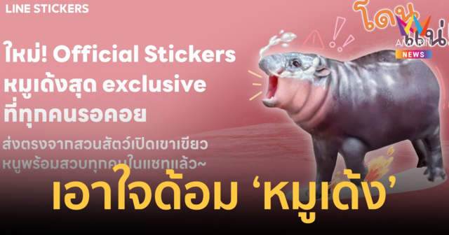 ขวัญใจคนไทย! LINE STICKERS  เอาใจด้อม ‘หมูเด้ง’ ส่งเซ็ตสติกเกอร์สุดคิวท์ เด้งเกินต้าน