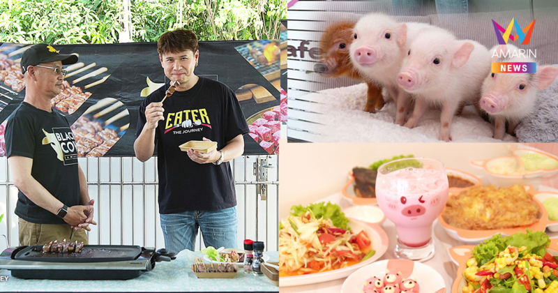 EATER พาชิมแกงใต้รสเด็ด VS เนื้อโคไทยพรีเมียม ตบท้ายคาเฟ่หมูจิ๋ว !