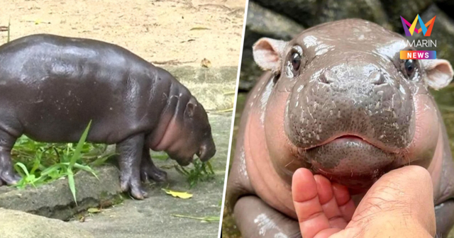 โพล เผย ข่าวแห่งปี 