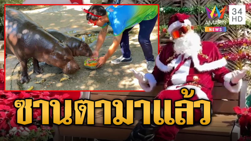 ซานตาคลอสโปรยความสุข แจกเค้กฟักทอง 'หมูเด้ง' 